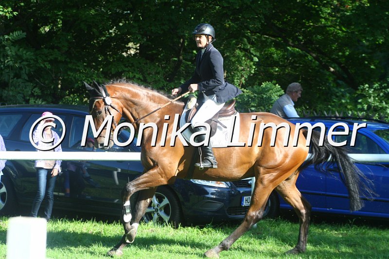 308M1109_Springpferde A.JPG